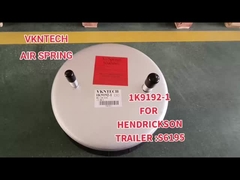 VKNTECH AIR SPRING, CHINESE AIR SPRING SUPPLIER, W01-358-9192 รายการที่ผ่านมา